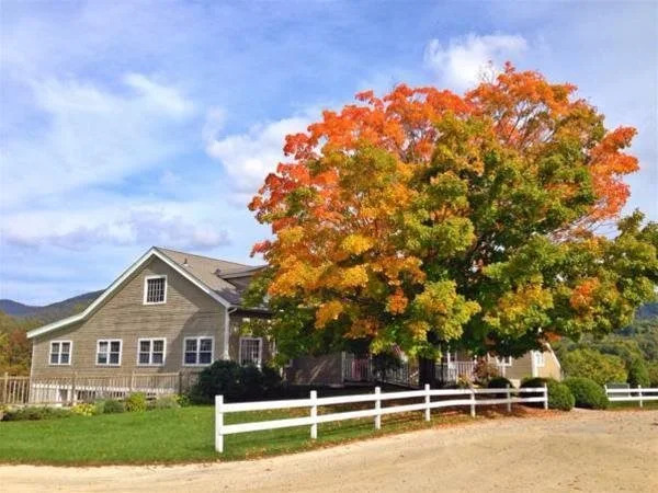 The Inn at Willow Pond