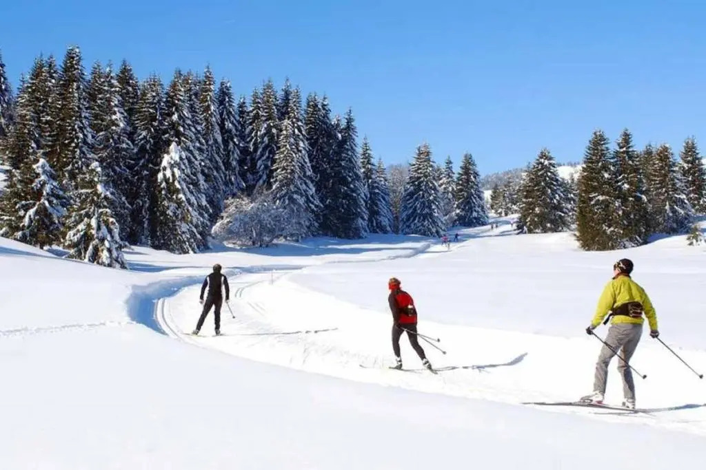 Le 67,ski et randonnée,lave linge,sèche linge,parking