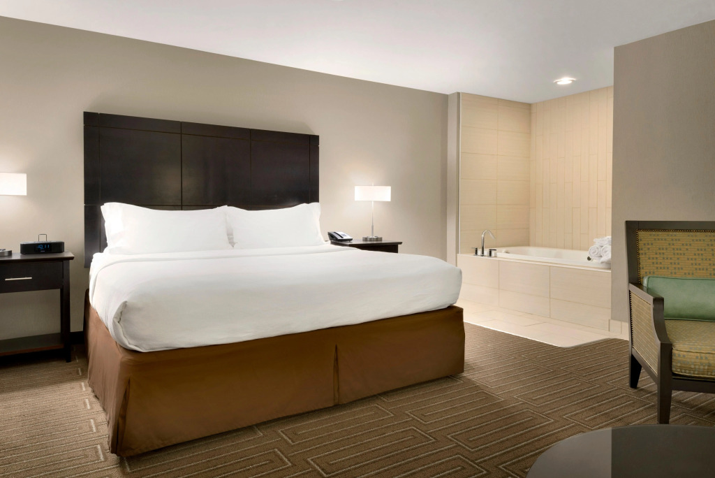 Holiday Inn & Suites Duluth-Downtown by IHG
