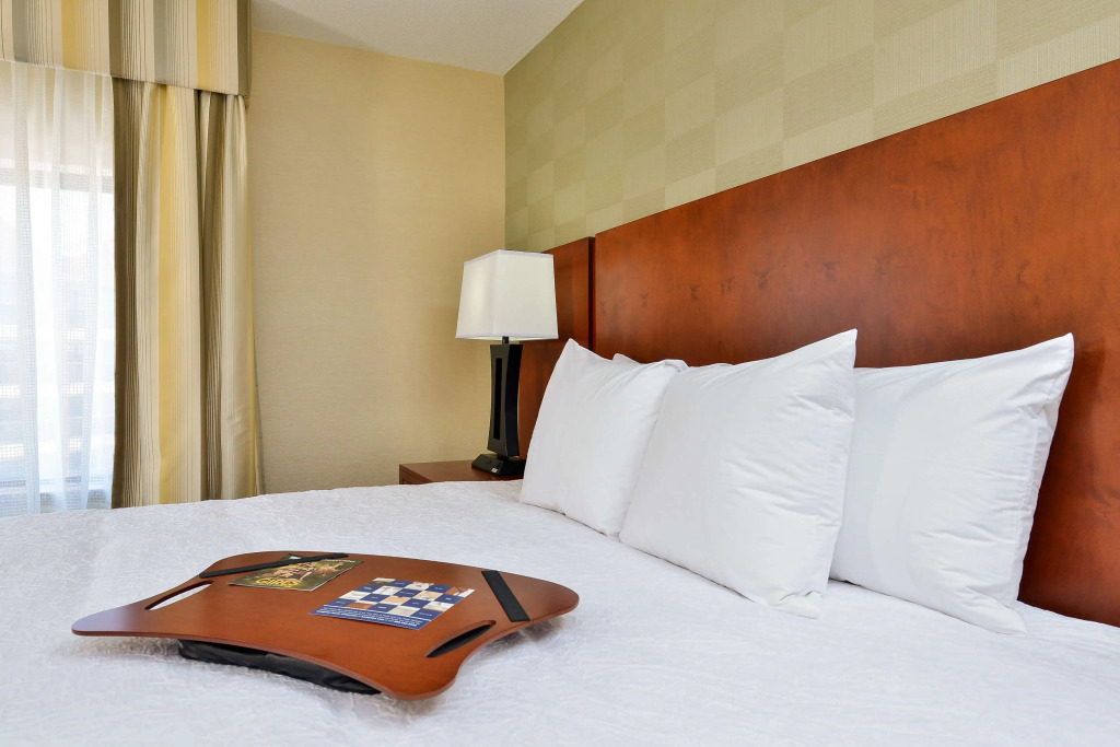 Hampton Inn Detroit/Auburn Hills South