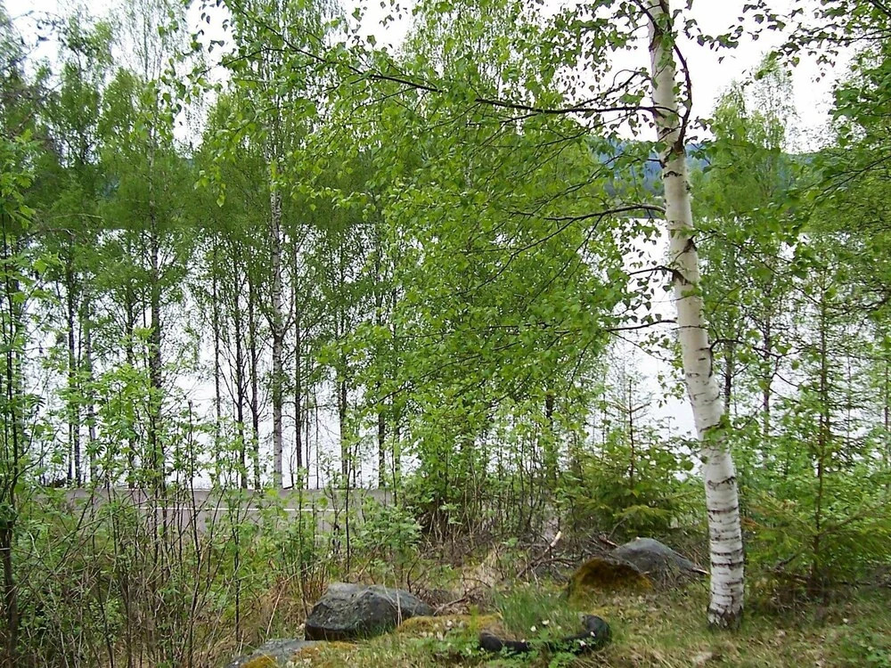 4 Person Holiday Home in Östmark