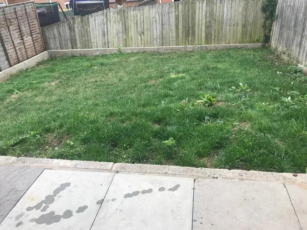 Ammaculate 3 Bedroom Property Near Caltic Manor