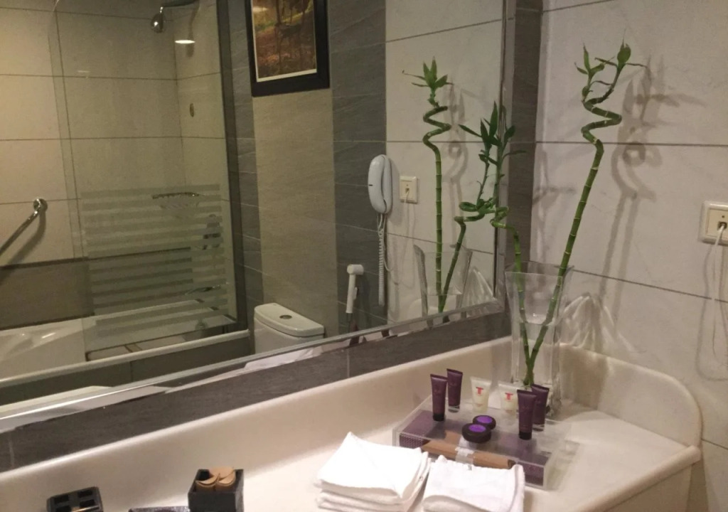 Отель Shaza Regency Plaza Al Madinah