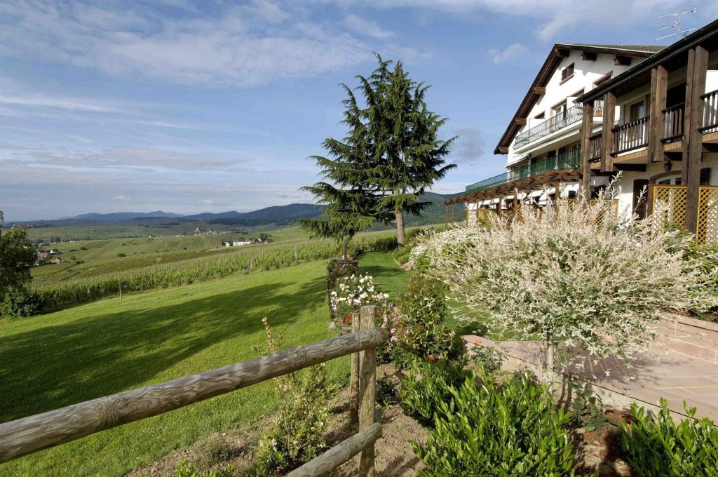 Le Clos Saint Vincent
