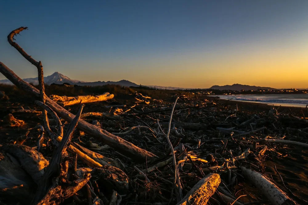 New Plymouth TOP 10 Holiday Park