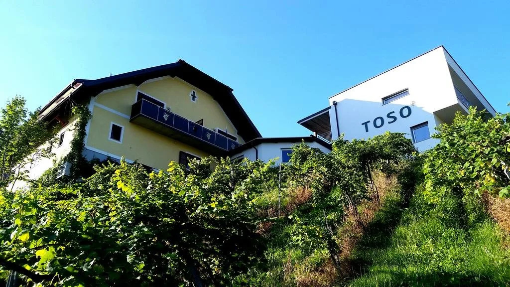 Boutique Hotel Toso Genussreich