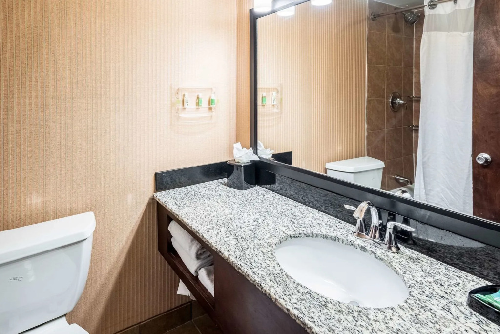 Holiday Inn Frisco by IHG