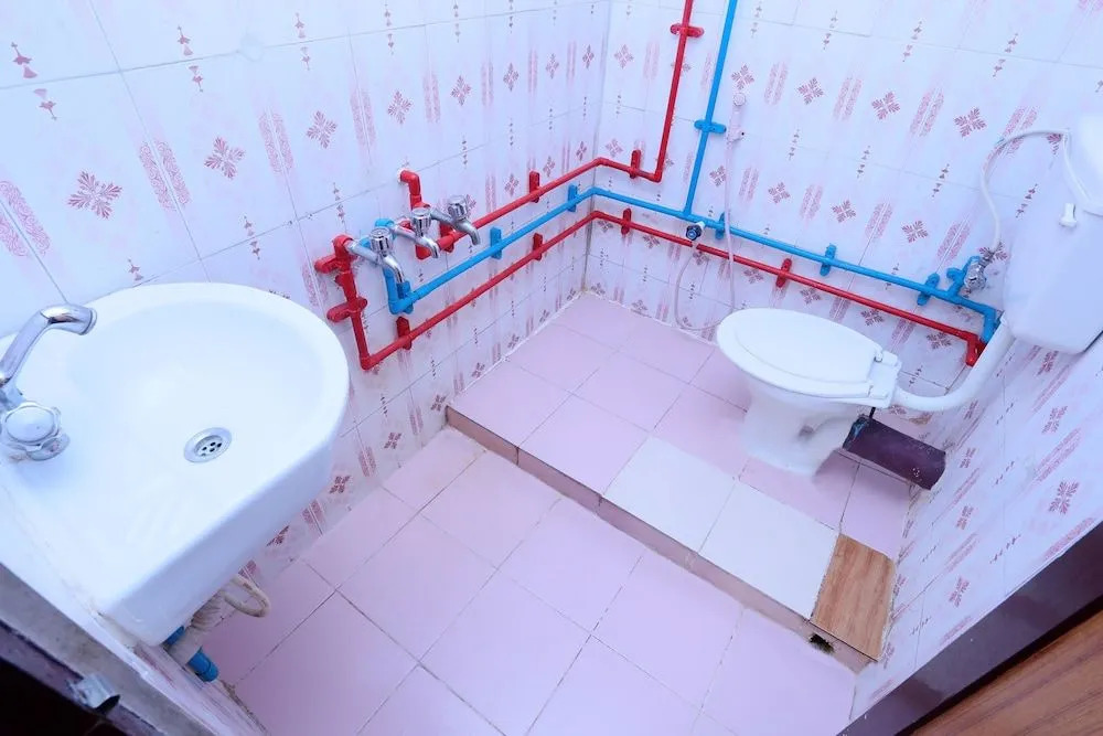 OYO 24221 Daneys Guest House