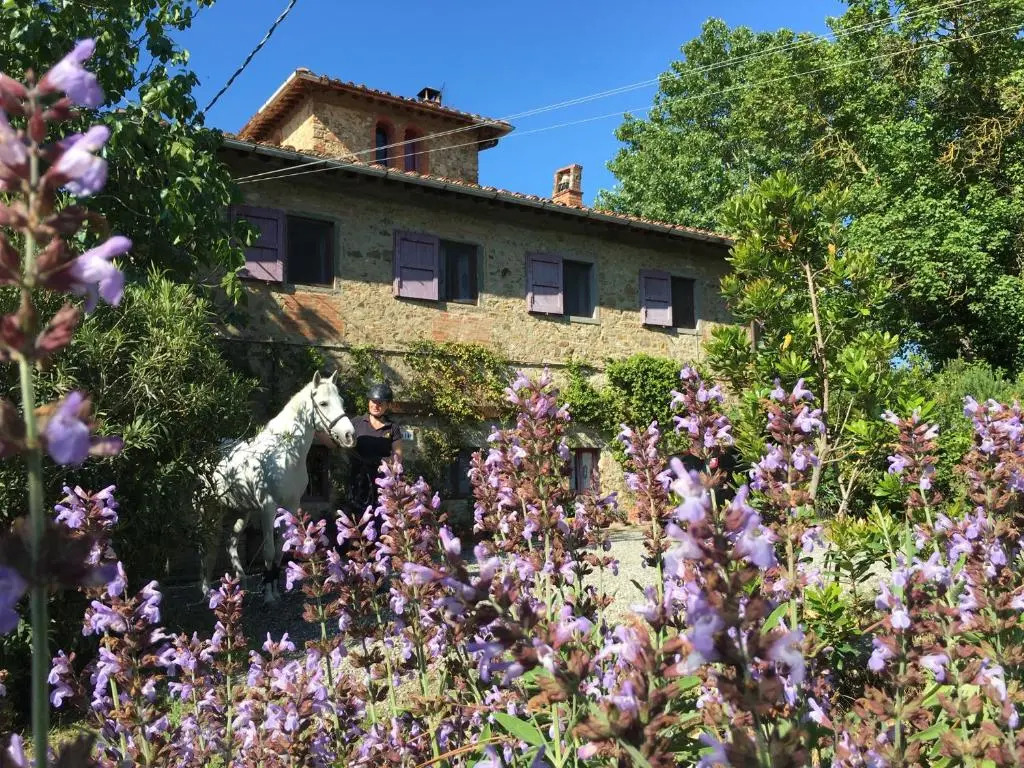Il Paretaio