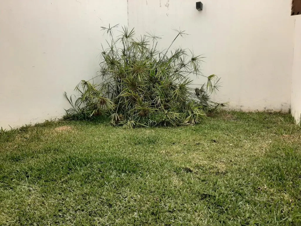 Los Cedros 43