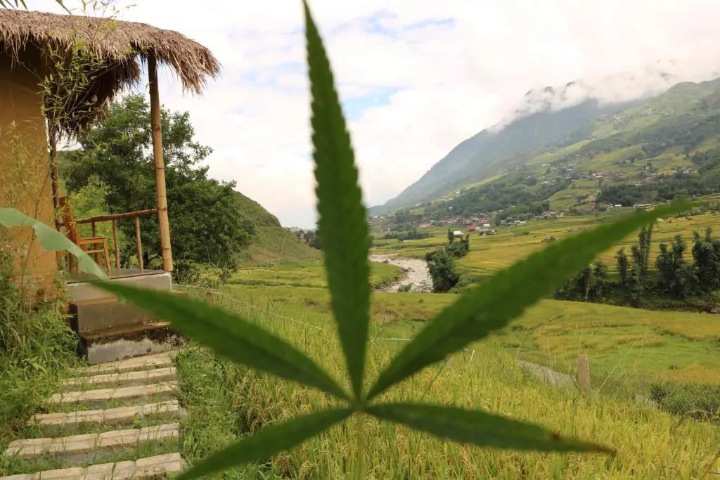 SaPa Farmer House