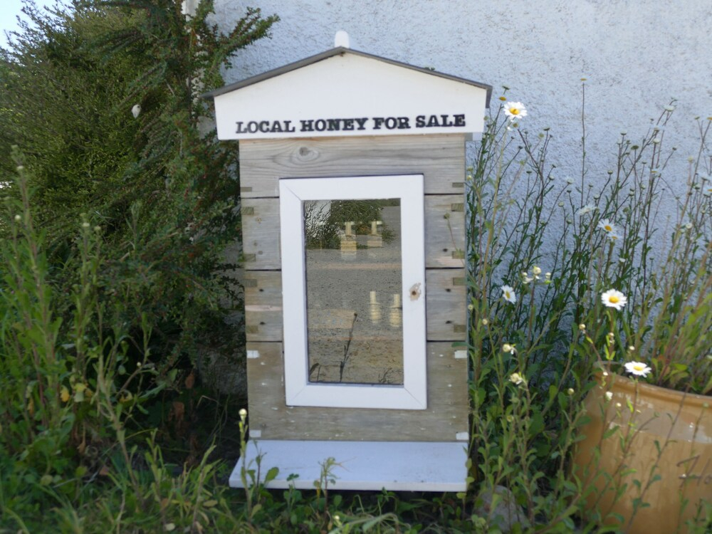 Carol Cottage