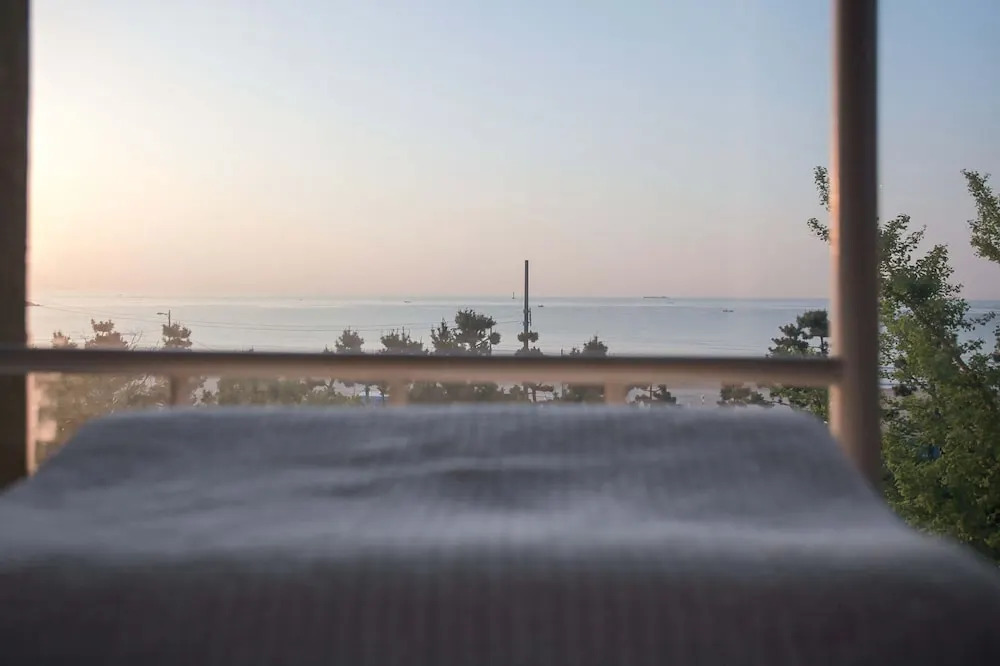 Nest Hostel