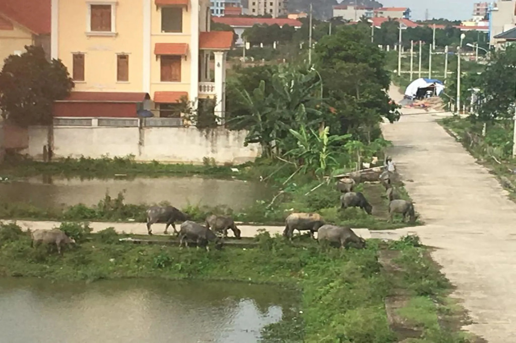 The Melbourne Hotel Ninh Binh