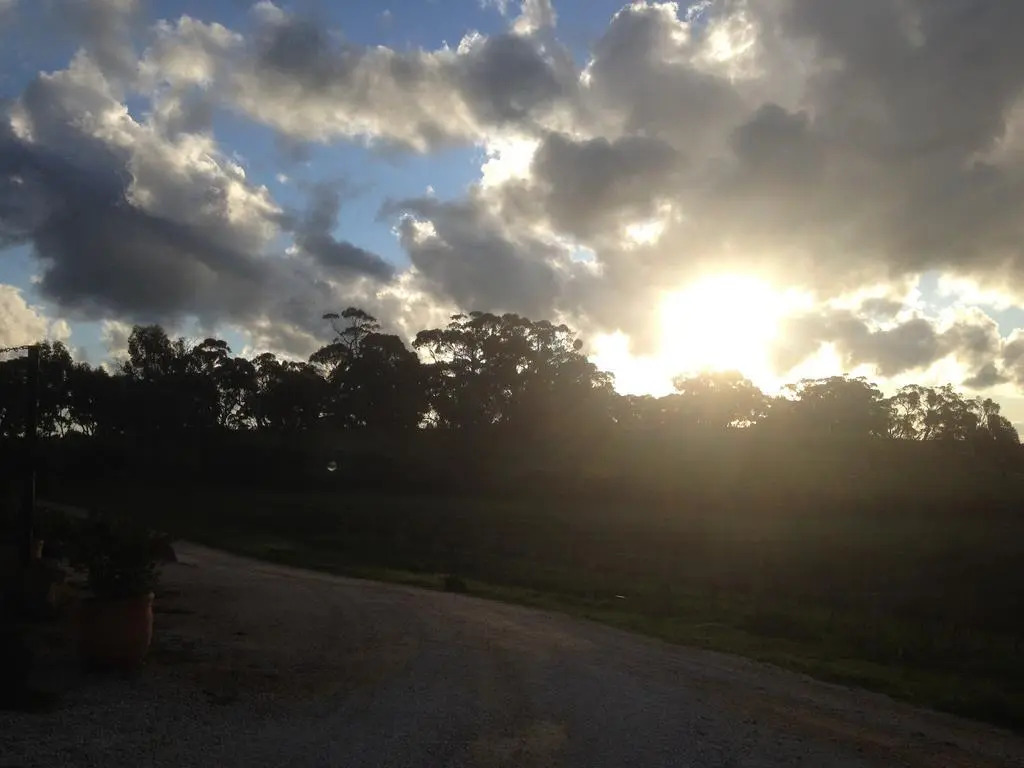 Mt Surmon Wines/Scarlattis Gallery/The Retreat
