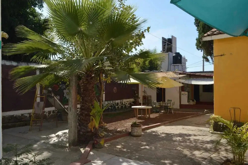 Hotel el colibrí