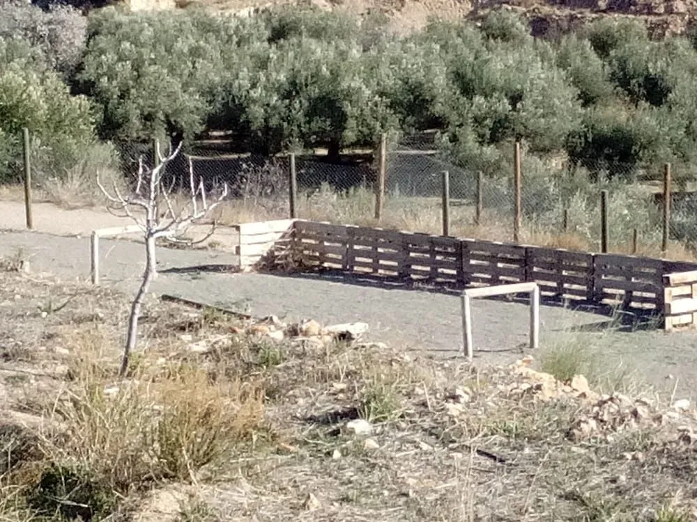 Camping Almocita