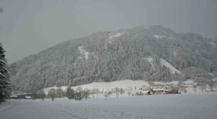 Appartement Vierthaler