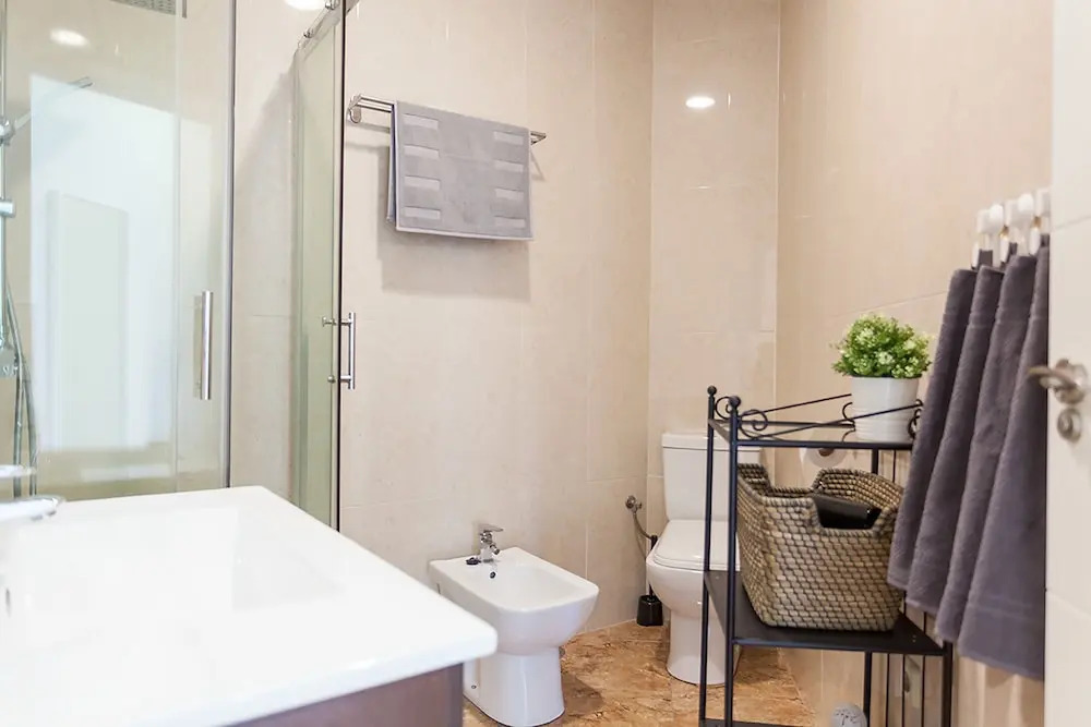 Boutique Apartments in the Heart of Madrid