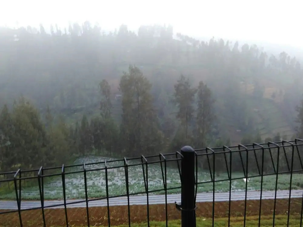 Jazzi Homestay
