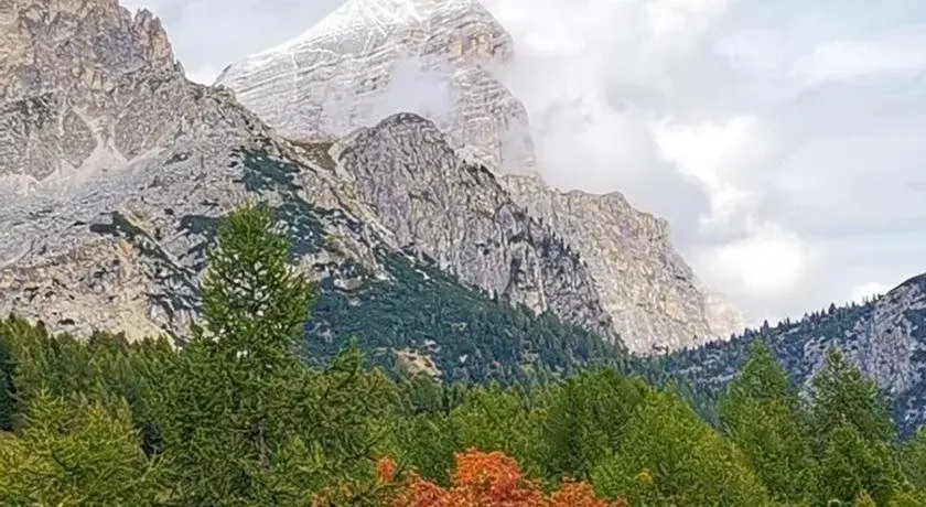Hotel Rosalpina