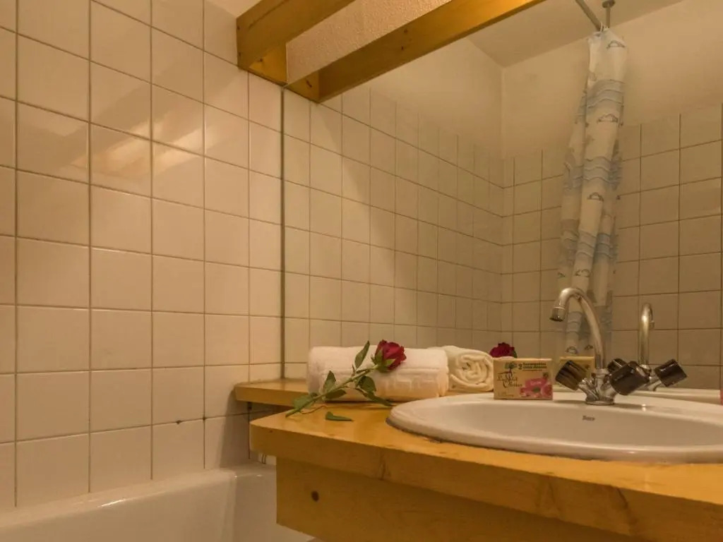 Appartement Chamonix-Mont-Blanc, 1 pièce, 4 personnes - FR-1-517-21
