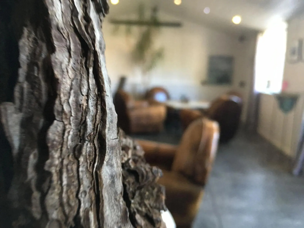 Hôtel Restaurant & Spa Plaisir