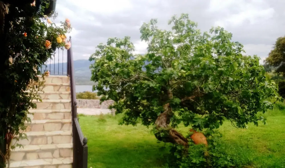 Rural Médulas Viviendas de uso turistico 2 y Casas rurales 2