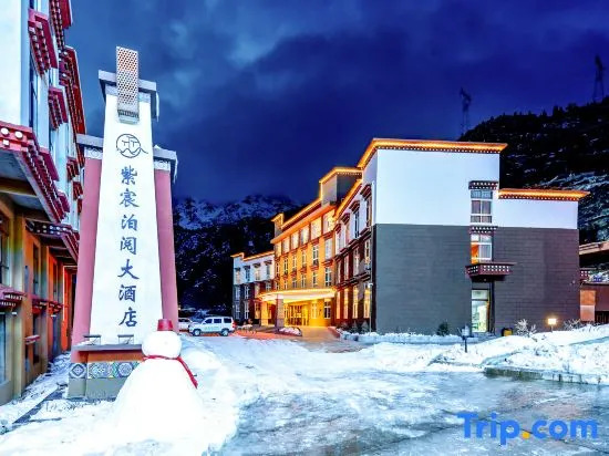 Zichen Boyue Hotel