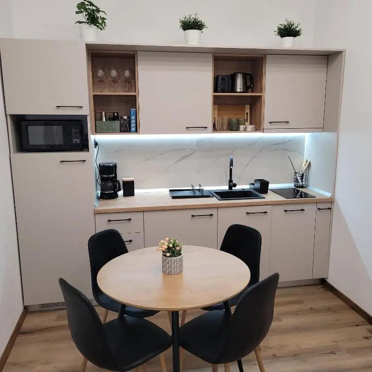 B8 - Spacious, Charming Apartment in Central Sibiu