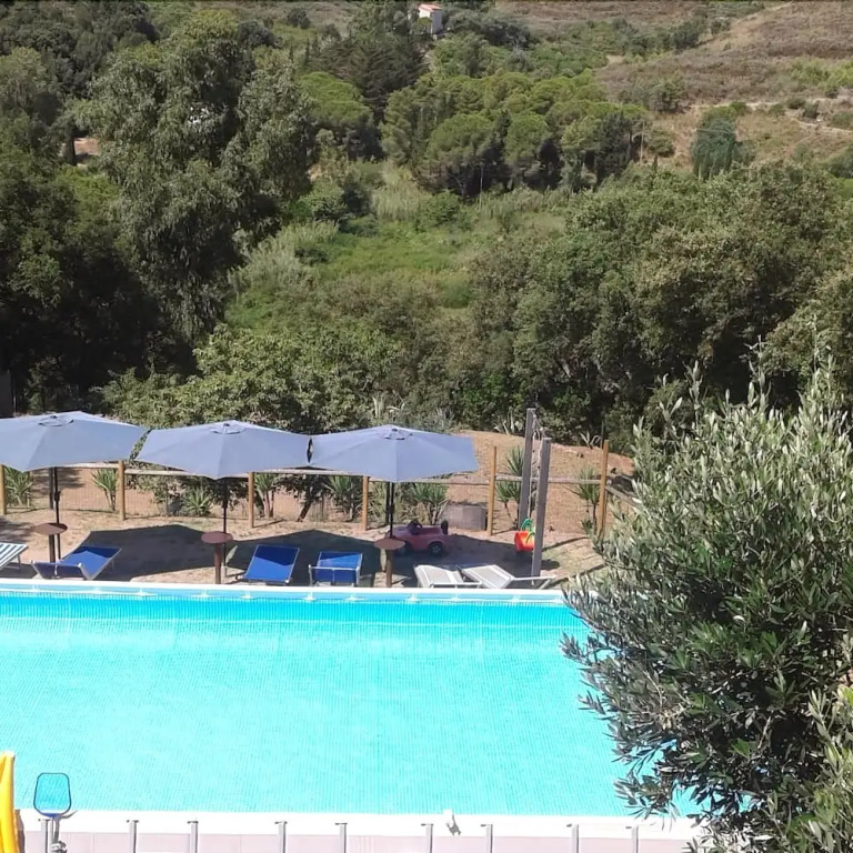 B&B Il Melo Cotogno