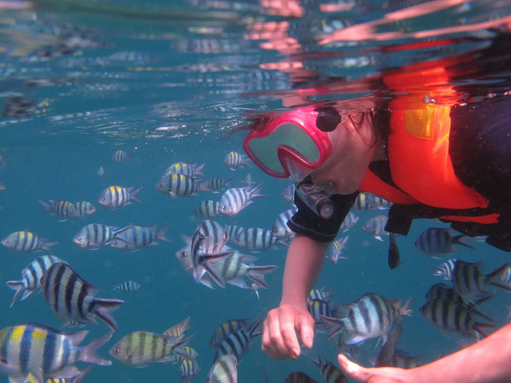 The Barat Tioman Beach Resort