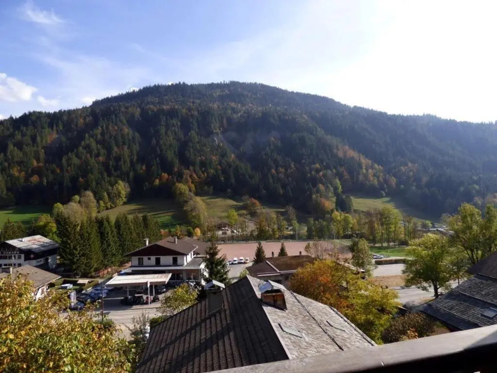 Studio Le Grand-Bornand, 1 pièce, 4 personnes - FR-1-458-123