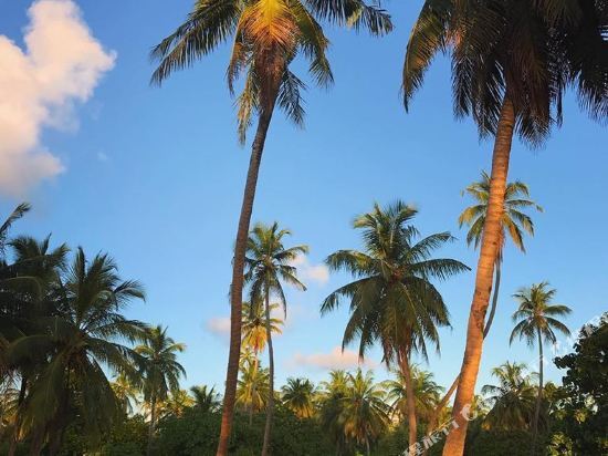 Отель Sunset Stay Maldives 