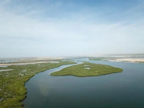 Le Pelican du Saloum