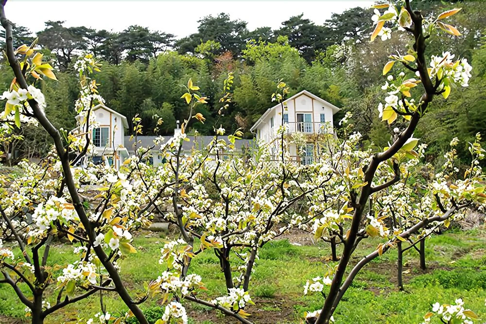 Yangyang Sea and Valley Pension