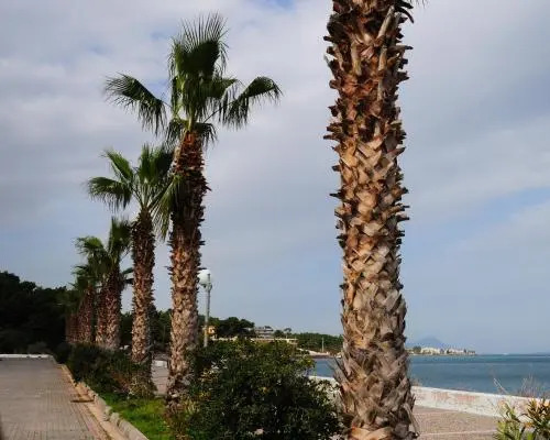 Orizontes Suites XL