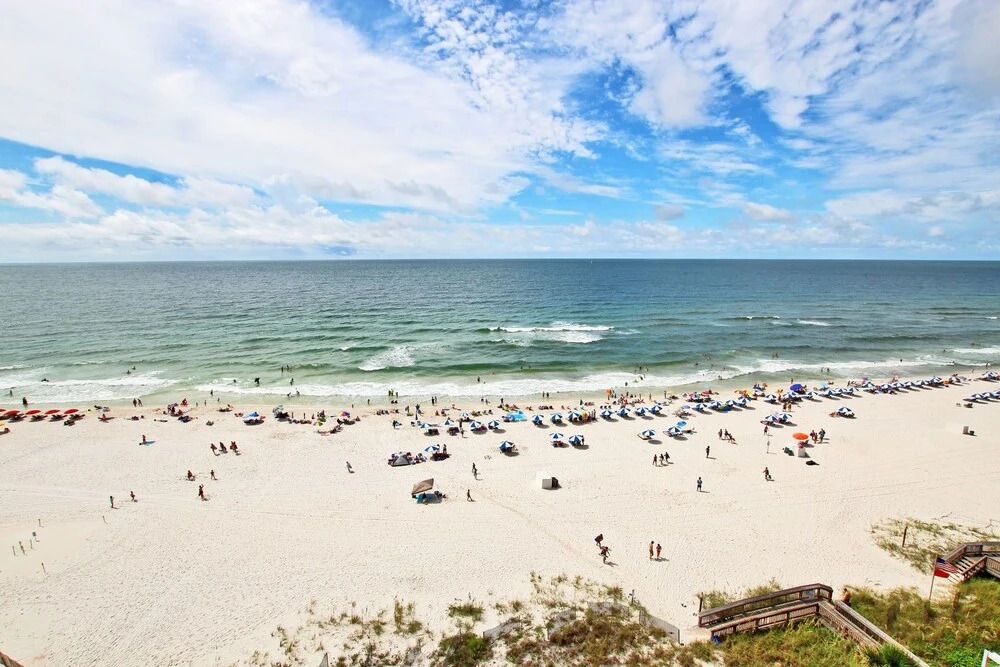 Tradewinds 901 by Youngs Suncoast