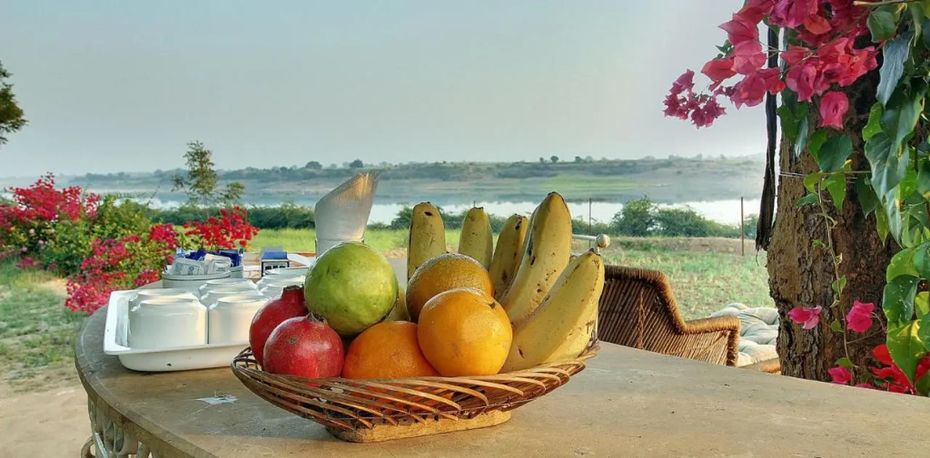 Bhadrawati - A Riverside Safari Lodge Ranthambore