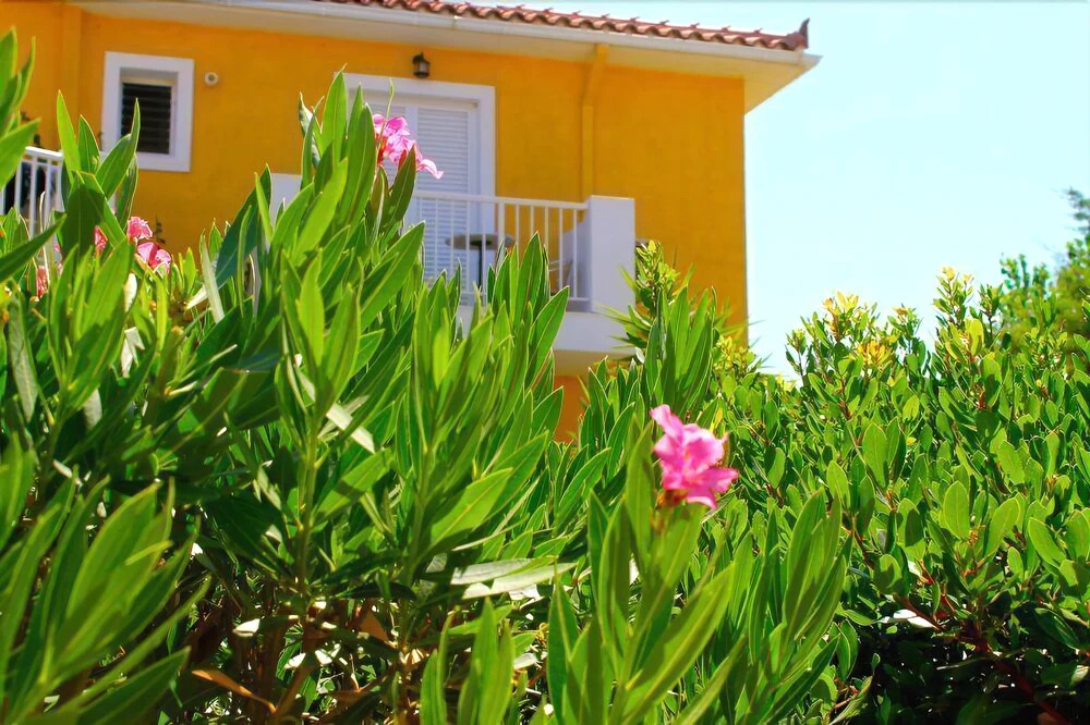 Paspalis Hotel