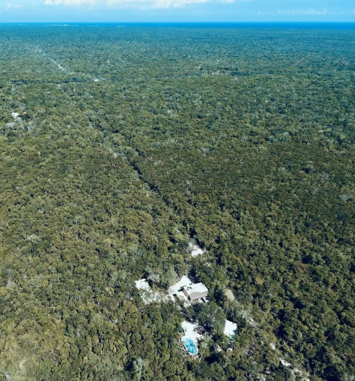 Casa Tzalam Tulum selva