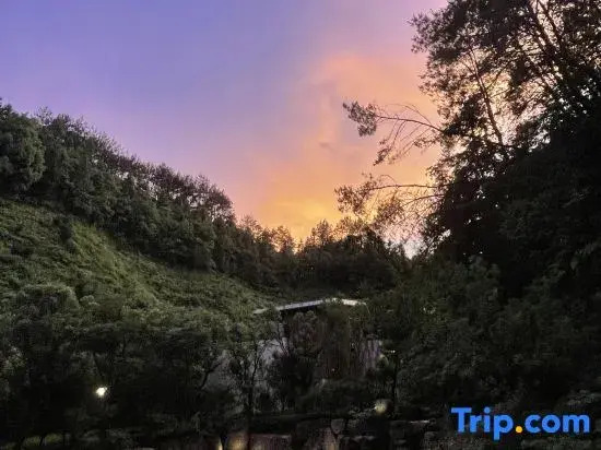 Huangshan Citied Utopia Torreya Valley Hotel