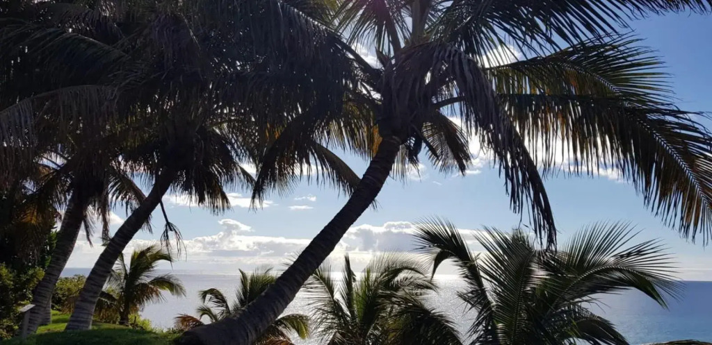 Casa Papagayo