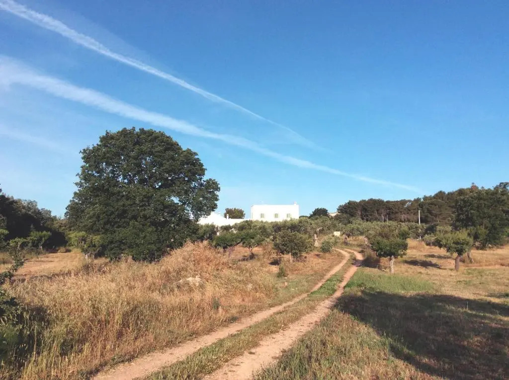 Masseria Fenicia