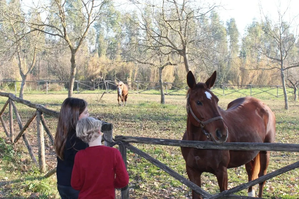 Agriturismo la Fattoria Pony Ranch