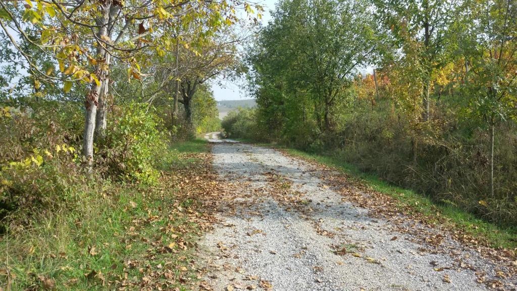 Cascina Torello