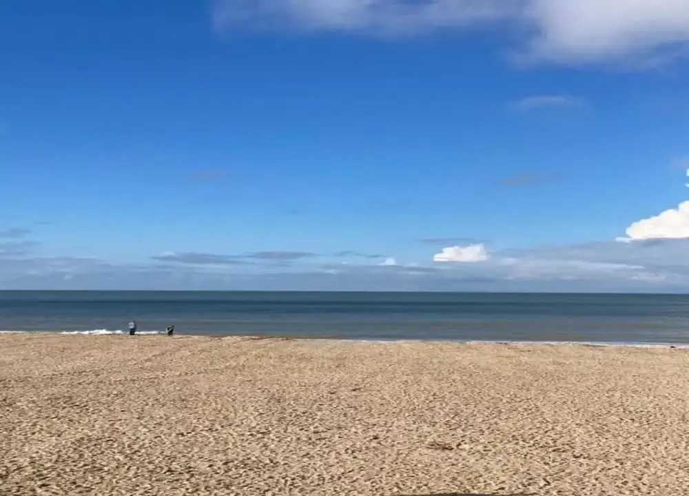 Apartment in Koksijde near the Sea