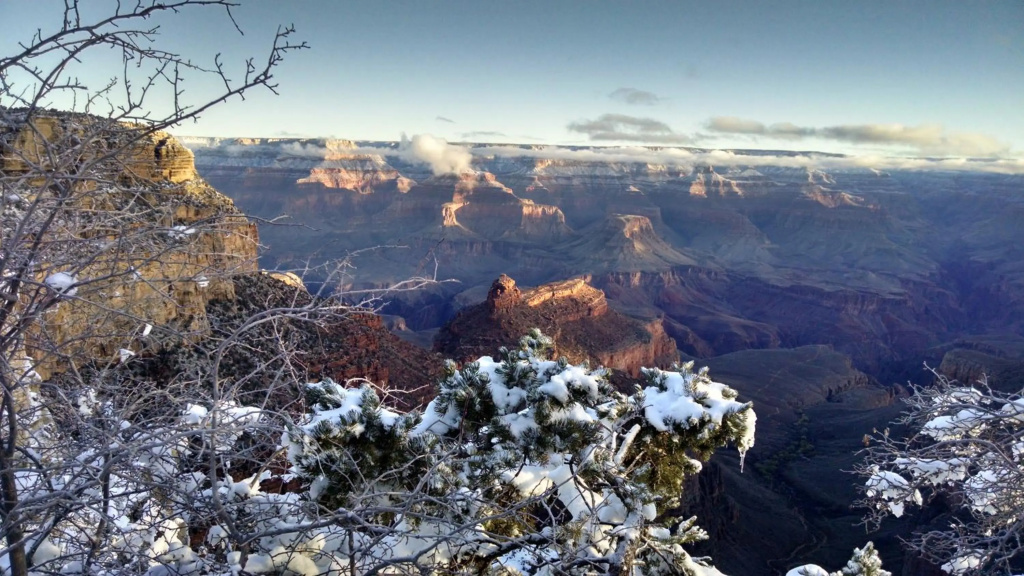 Kachina Lodge - Inside the Park