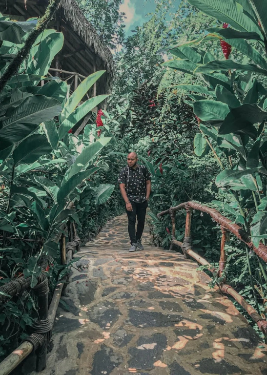 Tree House Village - Waterfall