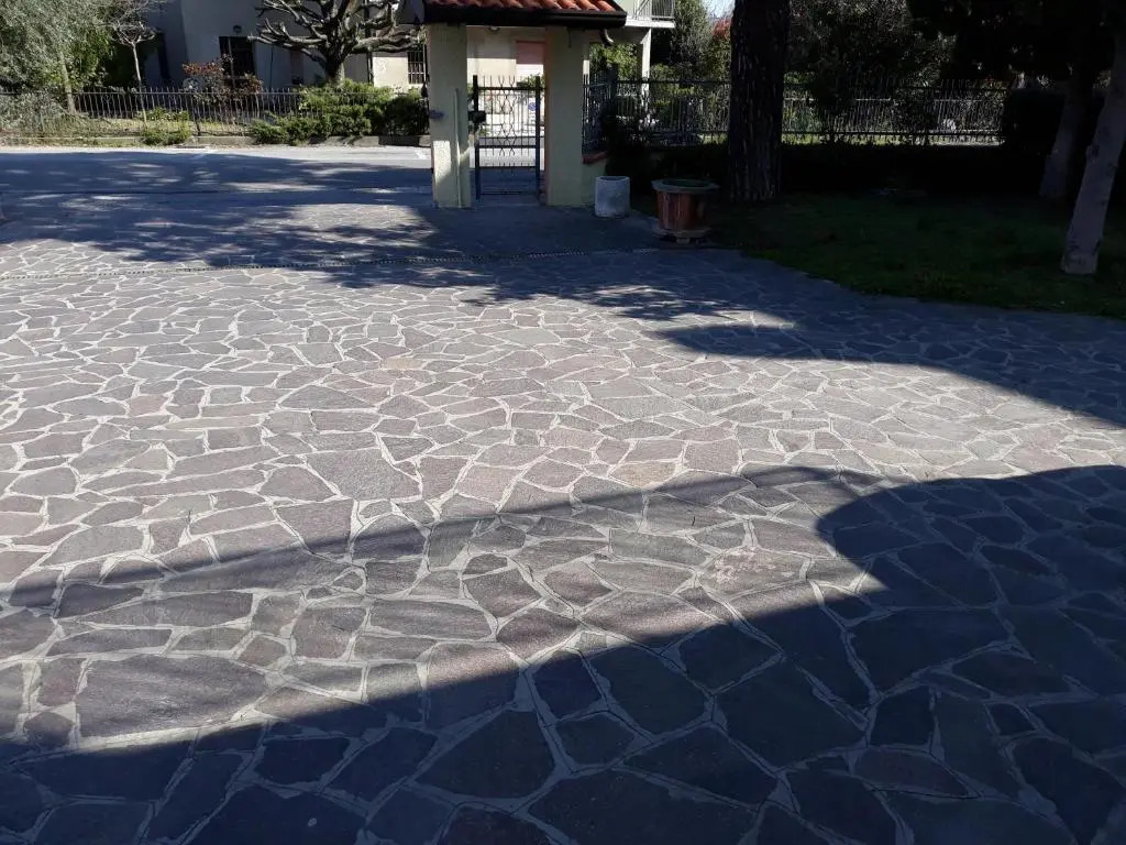 Dalla Maria